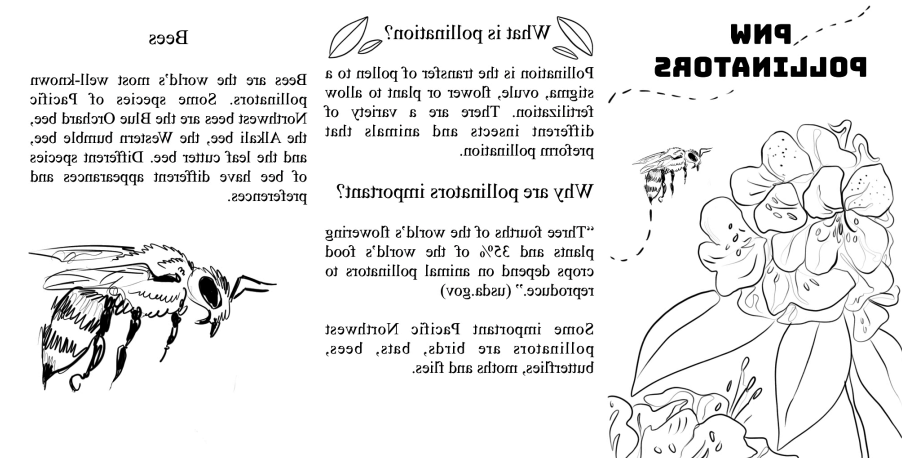 Text from Zine about pollination