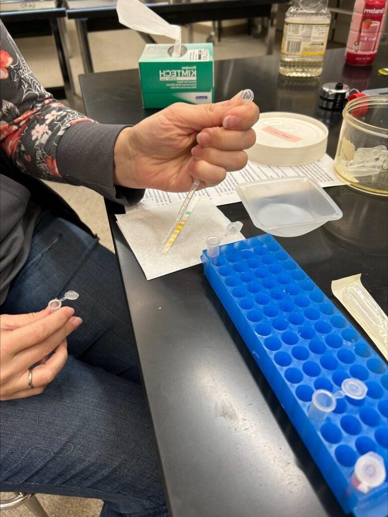 Student using dropper for lab experiment