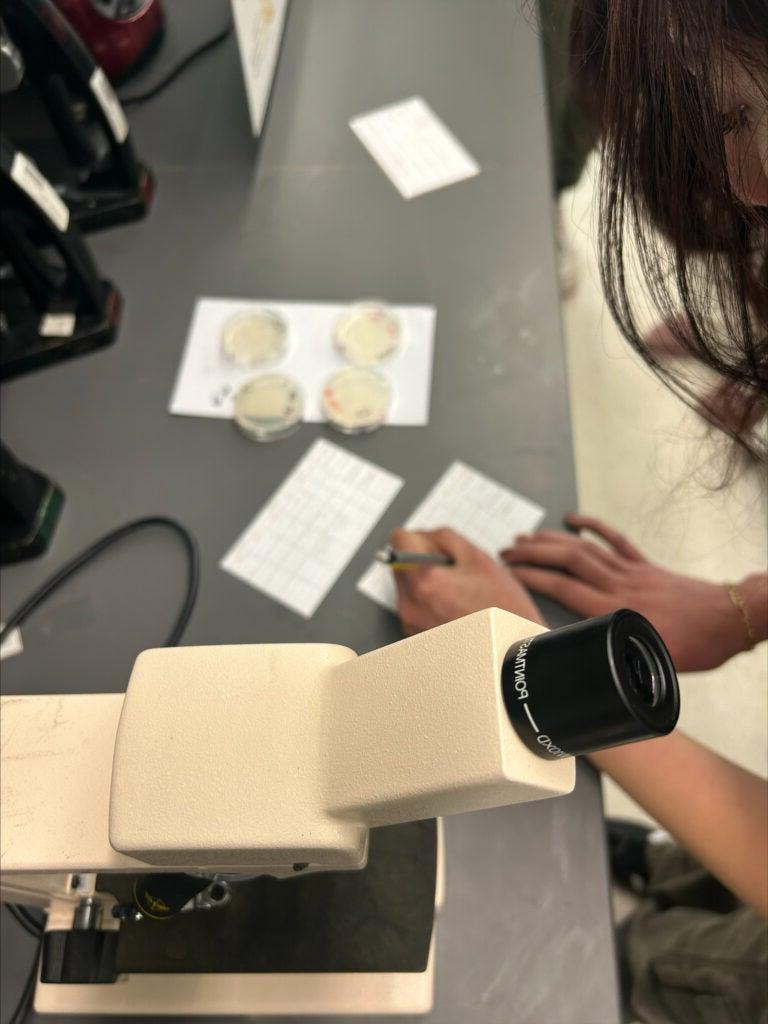 Student with microscope writing lab notes